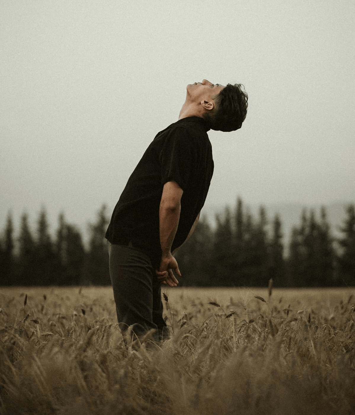 emotional regulation